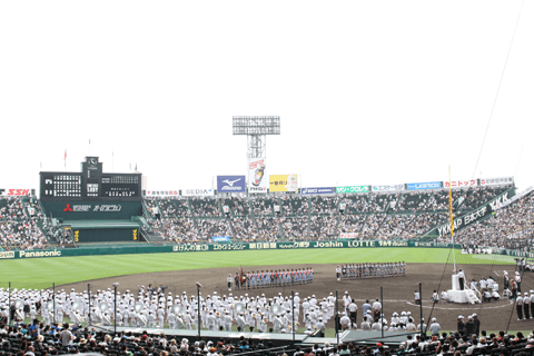 T싅Y VL L摜#5